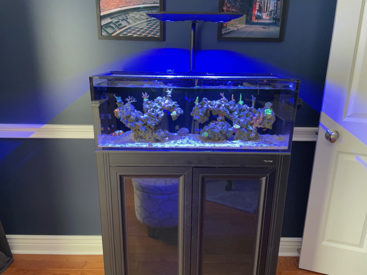 349D01DE-723C-4BE3-9268-1A7A2640F4C1.jpeg