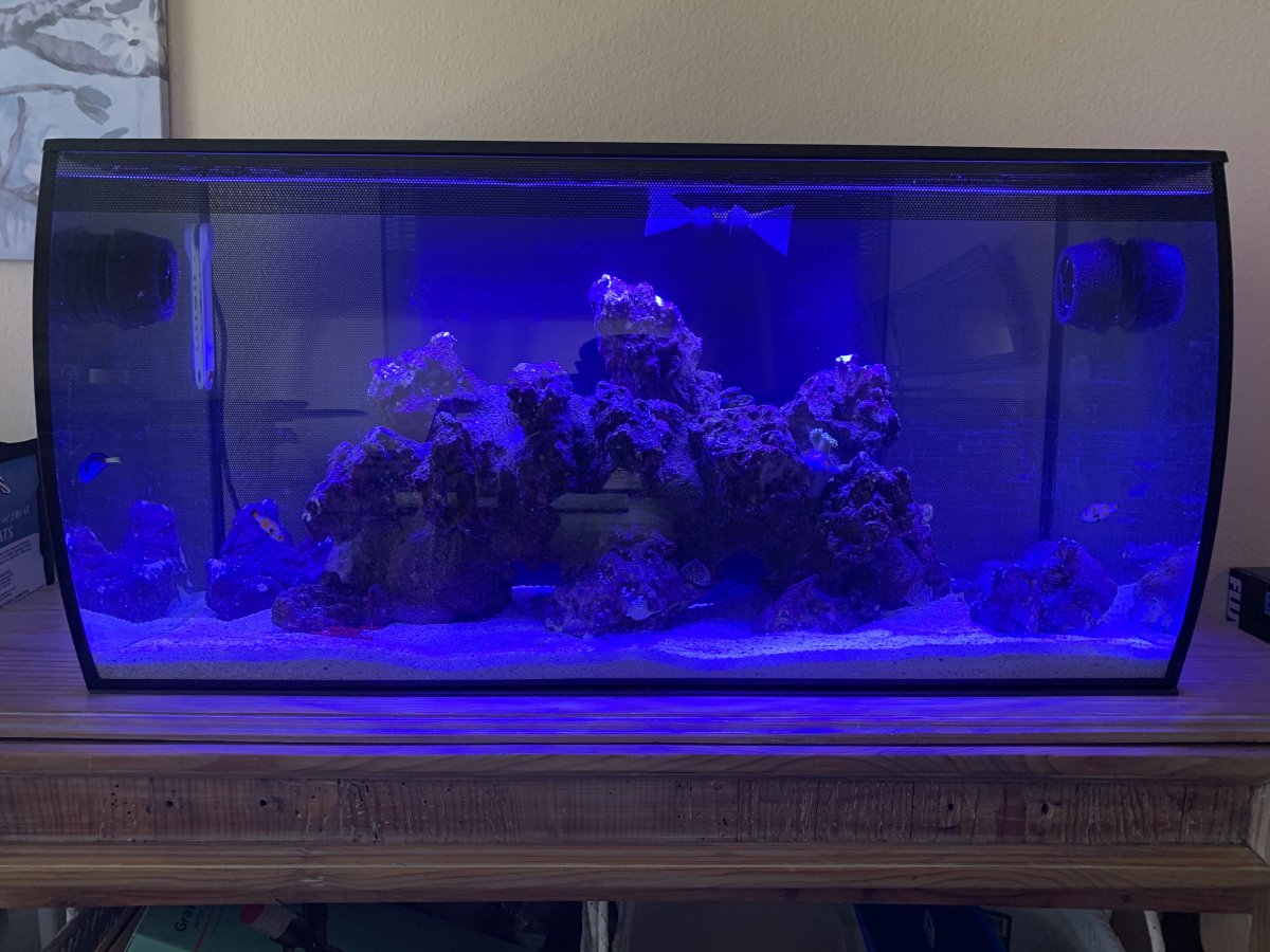Fluval flex 32.5 gallon cheap