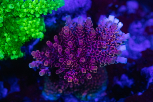 35489646-9A56-4EB2-8B87-2BFE22D0428C.jpeg