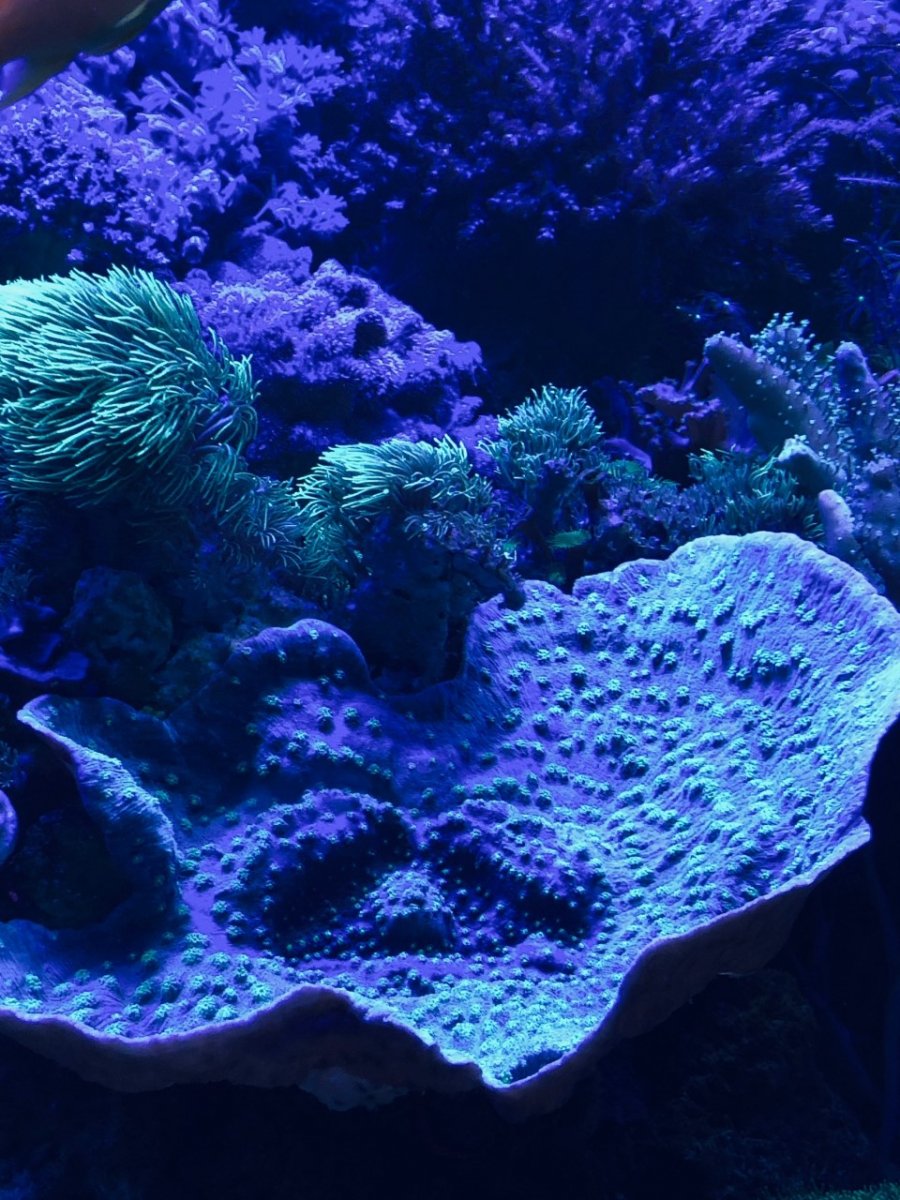 360g19.jpg