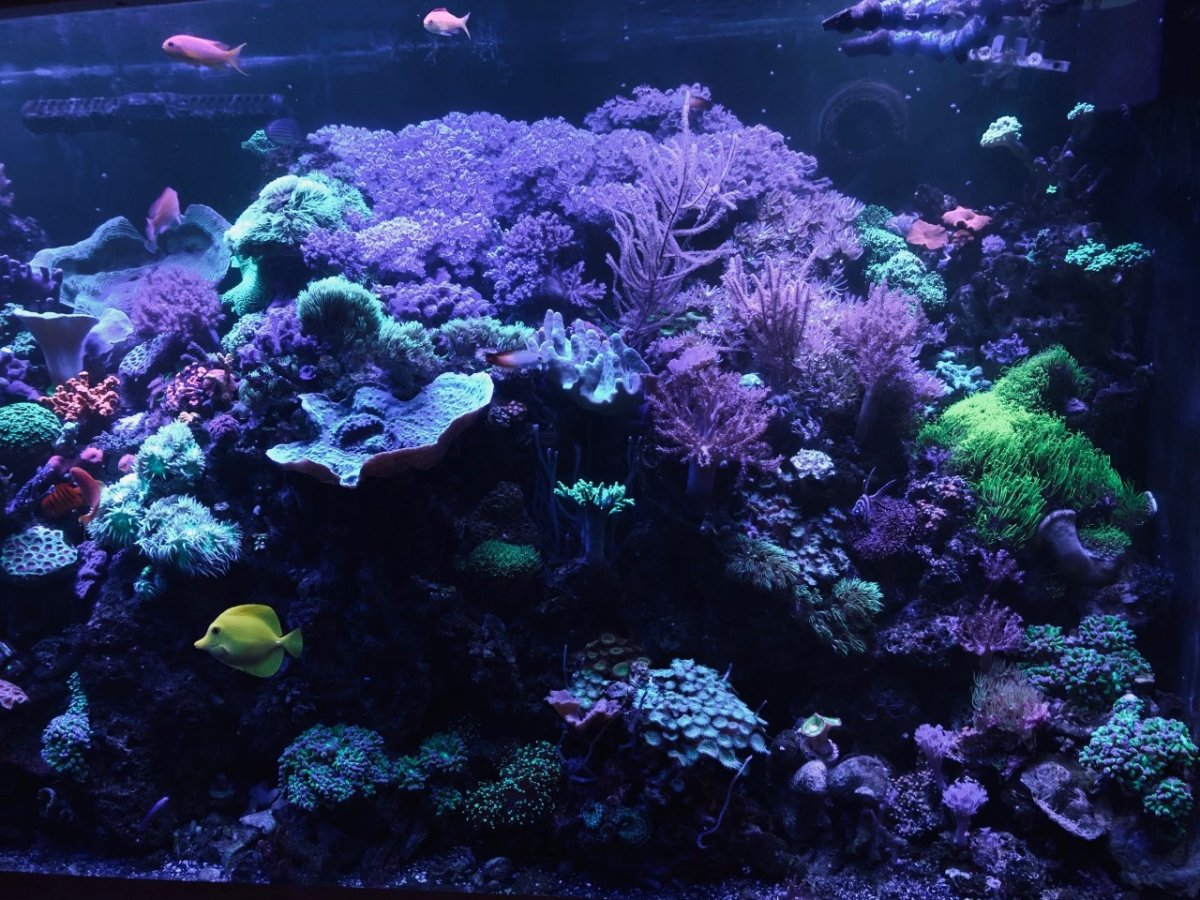 360g3.jpg