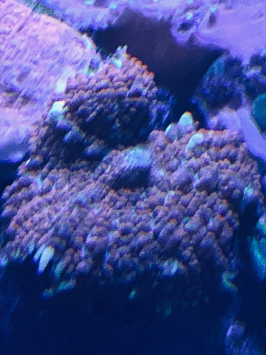 360g30.jpg