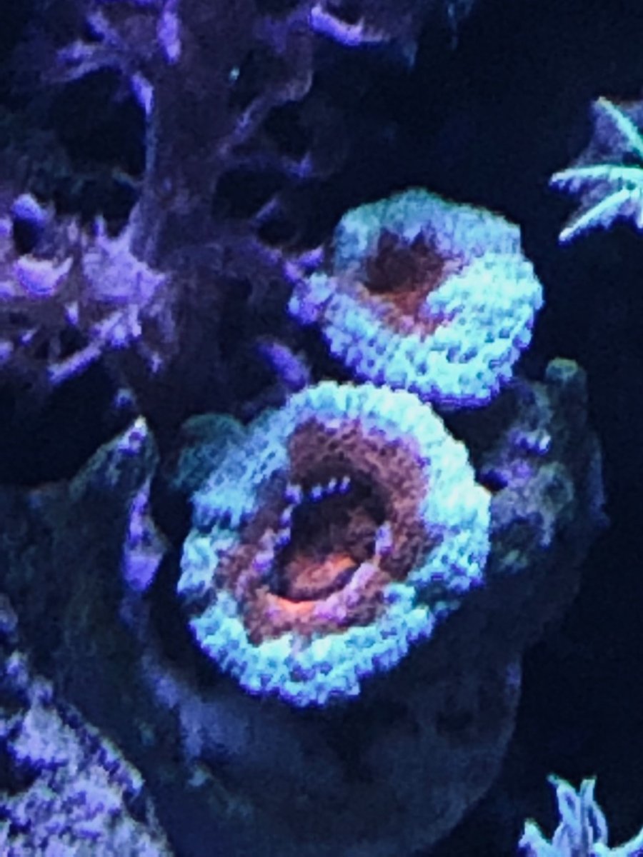 360g33.jpg