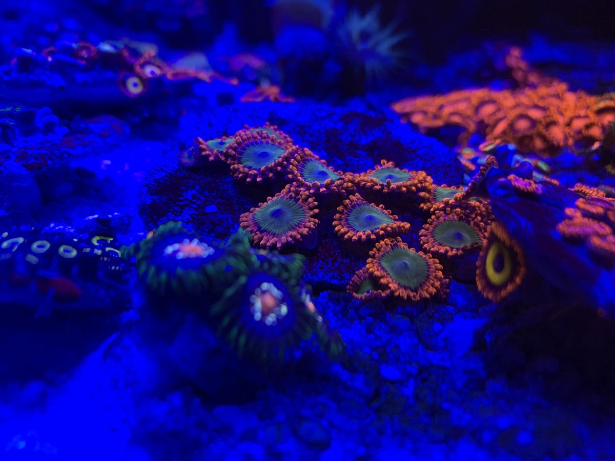 36FD7680-BAAD-493B-B39D-CF393E9CA03A.jpeg