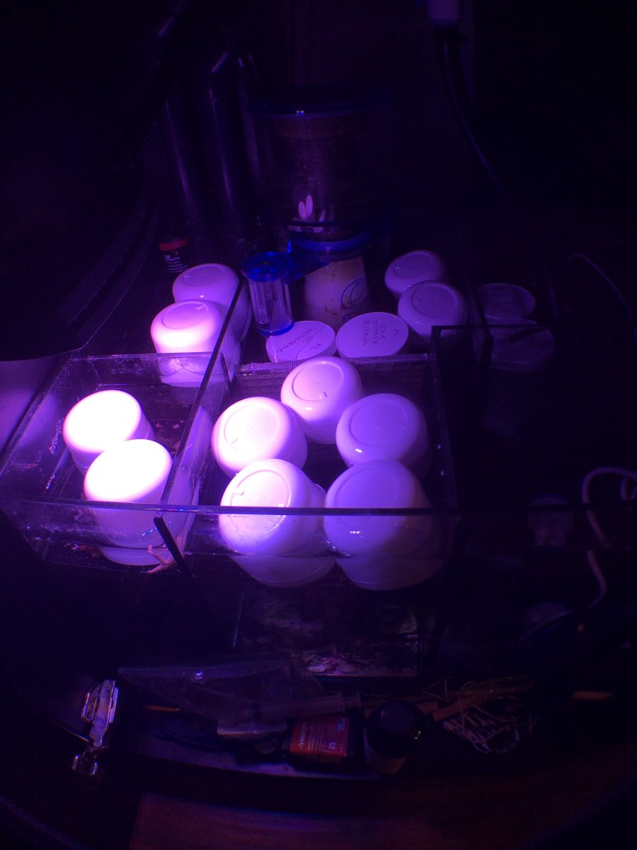 378D3E7B-C279-4E9E-87AB-2C7626046534.jpeg