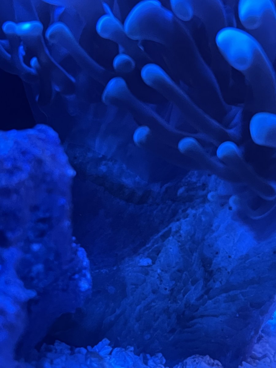 38762730-347B-485D-BDE0-5C3EA8321F2D.jpeg