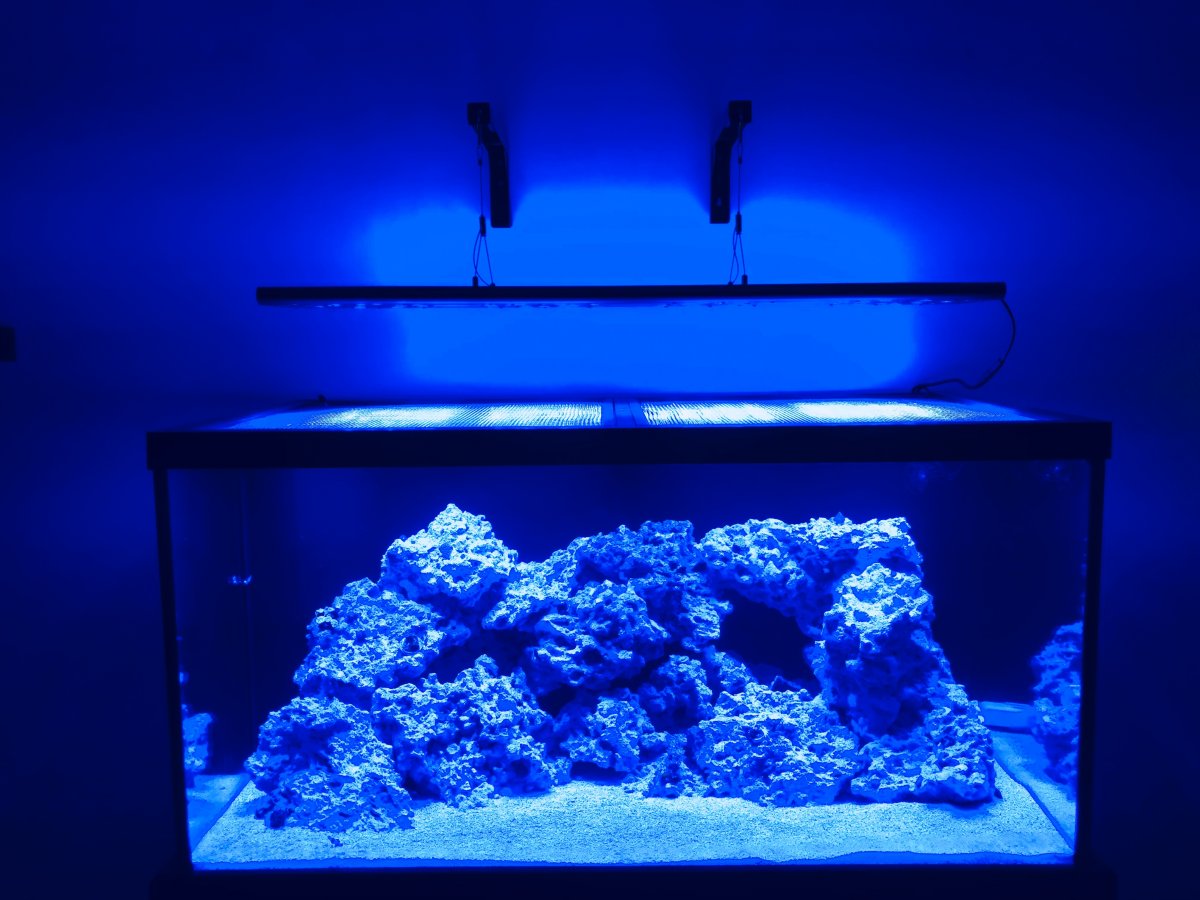 38920D22-B965-4D74-9462-A3D8D76E2D1F.jpeg