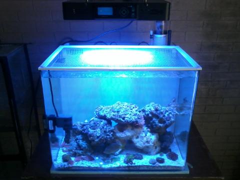 38GNuvo Light.jpg