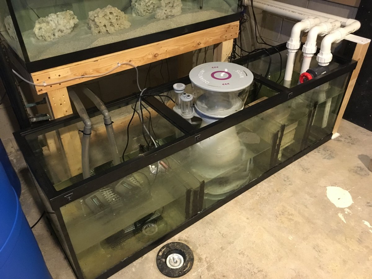Monster Build - Simple, Inexpensive Ideas for Large Sump for 500G Reef ...