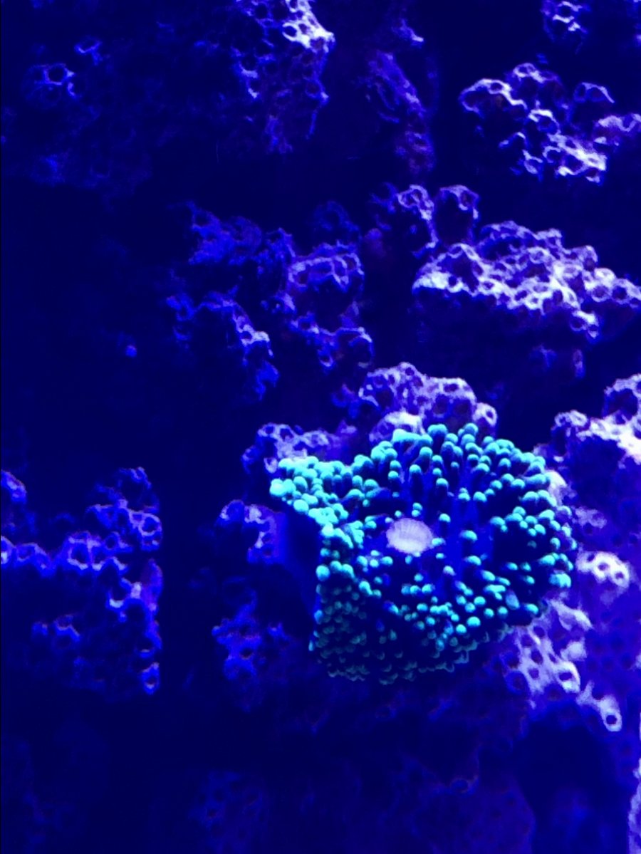 39F2ECE0-062F-491F-BDC0-CDAB806E9C01.jpeg