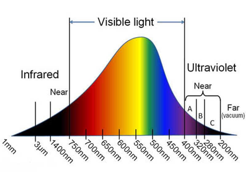 LED s No UV Do corals need UV for longterm health REEF2REEF