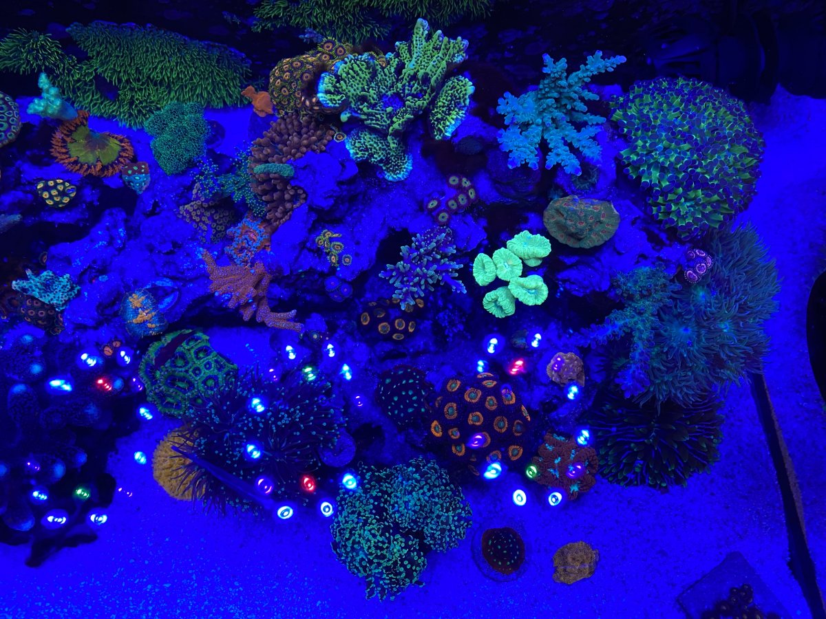 3AA47A01-56AD-4C2E-9DC7-8E13EDD52355.jpeg