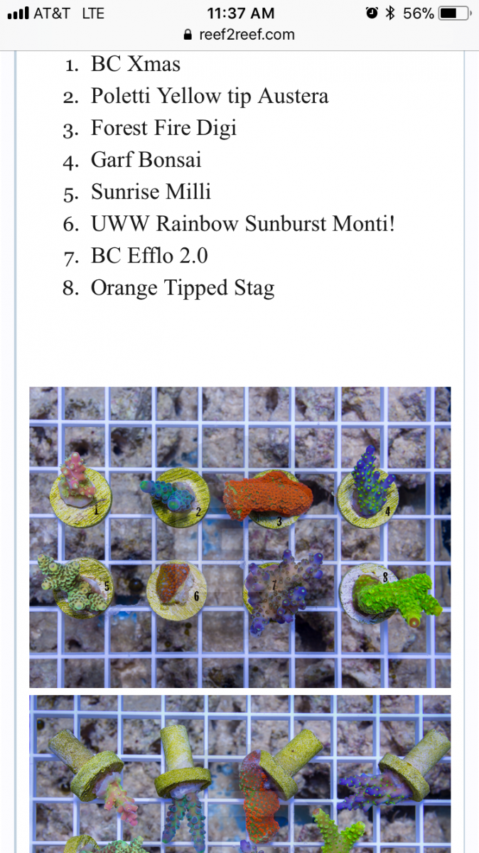 3AF6C066-4E3C-4FE1-9651-4E8CCCBFB6BF.png