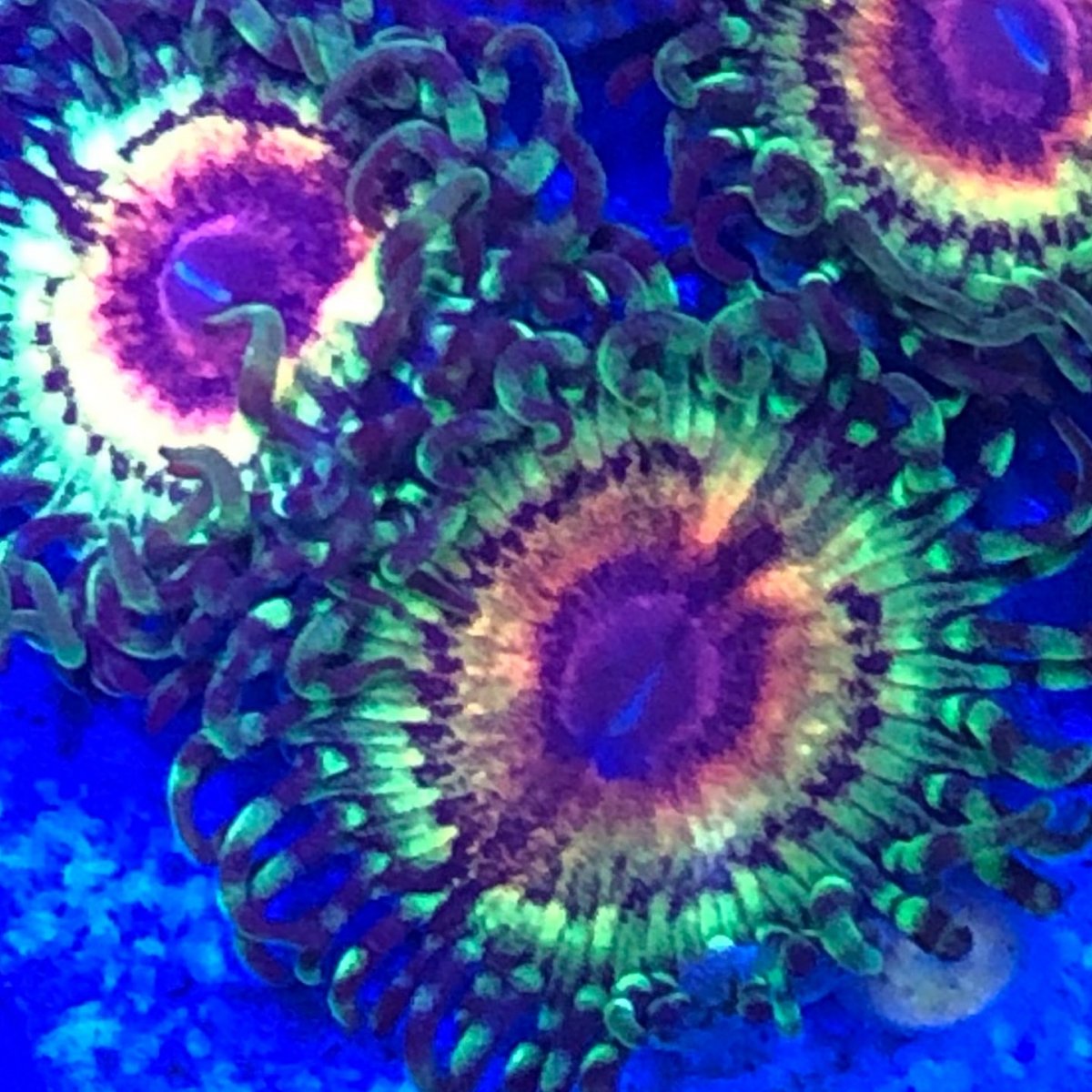 3B5D5787-B680-4660-9C8B-BB2B3FA951E9.jpeg