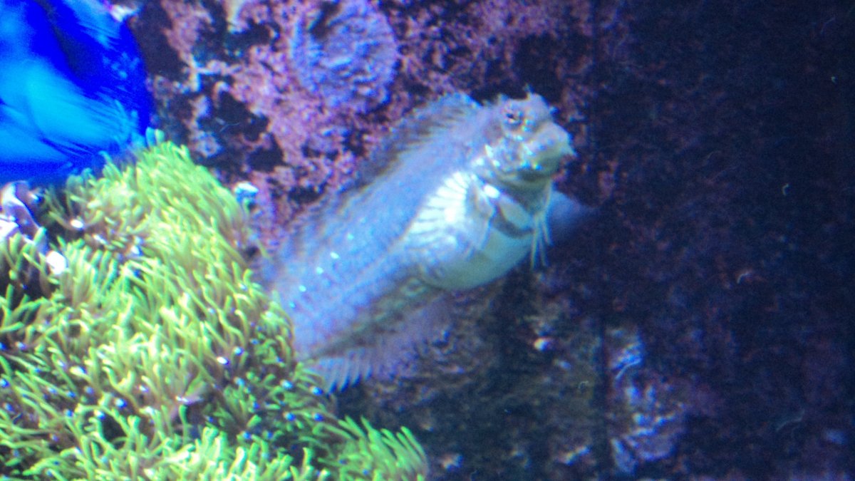 3b7d60fc_004.jpg