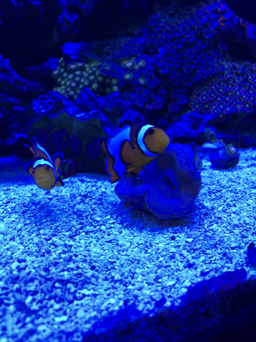 3C5DD72F-B374-4506-9900-E5938F2FEB7C.jpeg