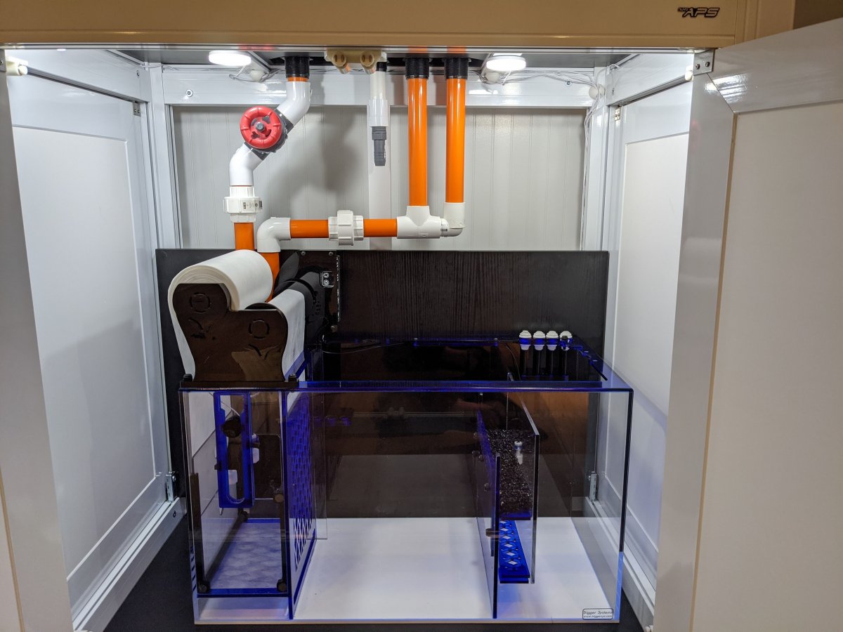 Innovative marine int overflow setup | Reef2Reef