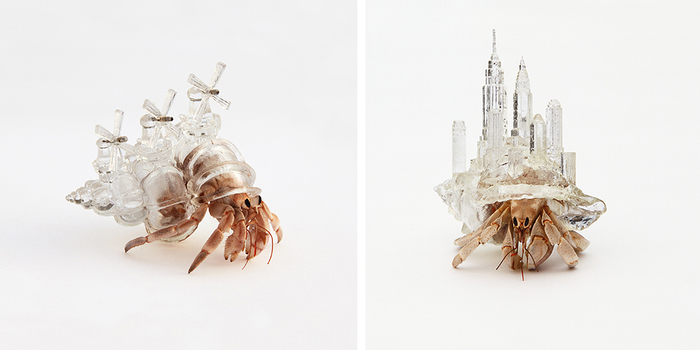 3d-printed-hermit-crab-architectural-she