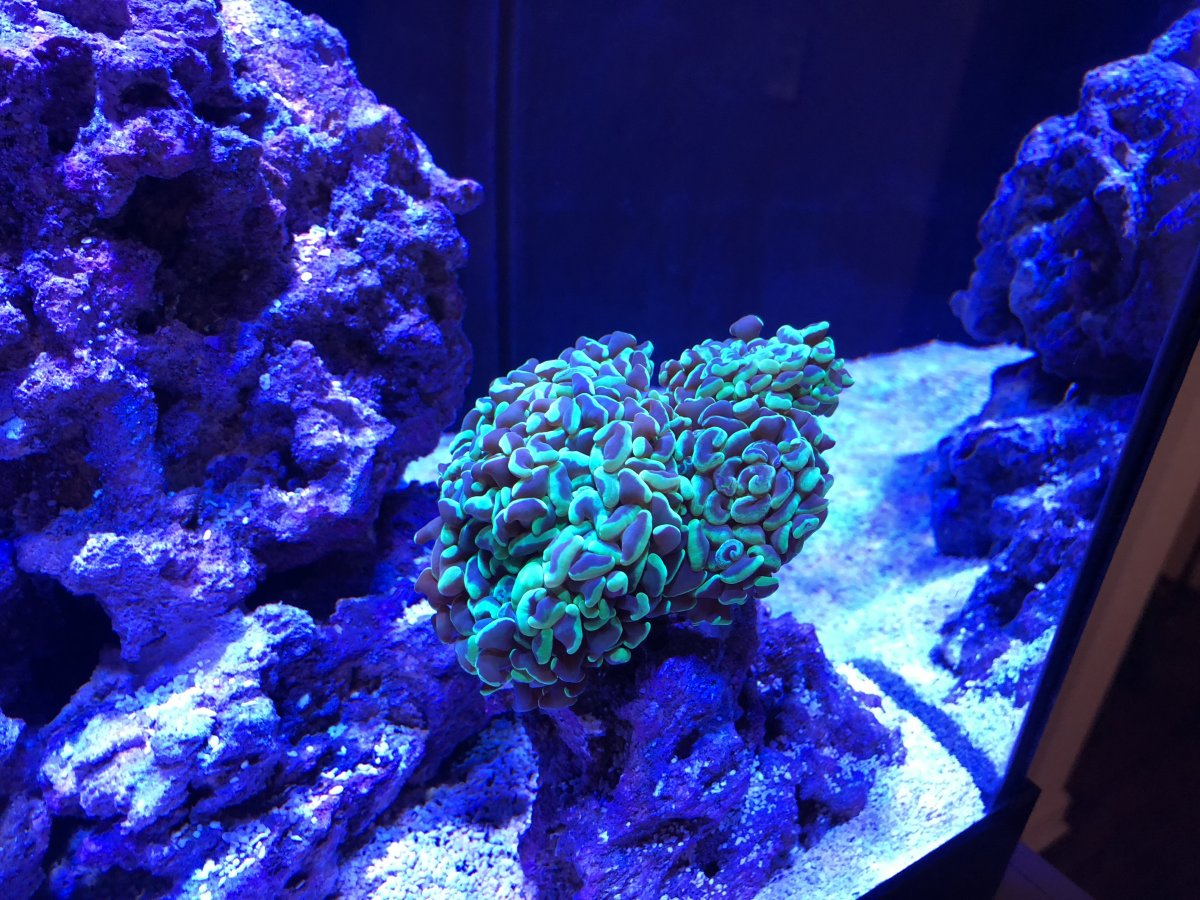 3D25A076-7EC9-432B-AECB-E35211BFE5EA.jpeg