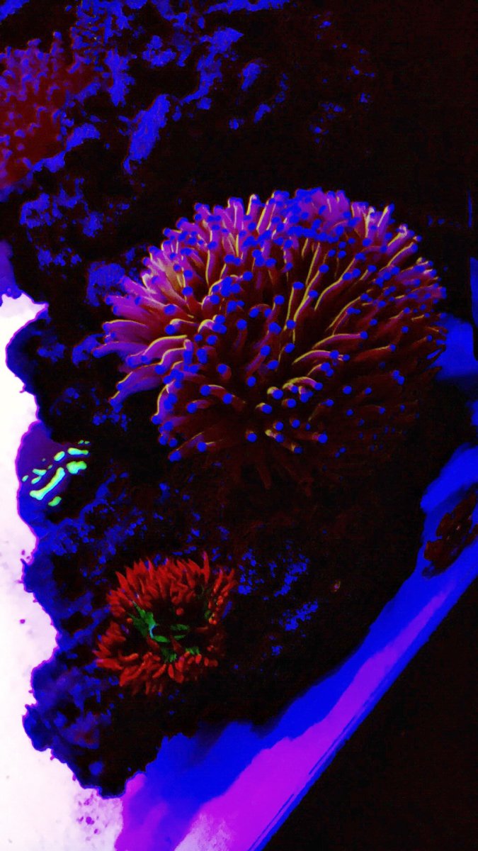 3D29835A-B417-4F53-9BD1-E8FA299EDE1F.jpeg