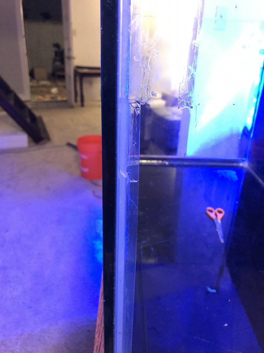 3D2D4A77-2206-4482-845C-E0EE0140FD35.jpeg