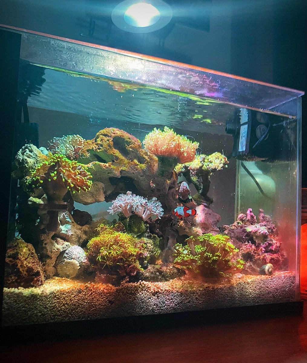 3 sales gallon tank