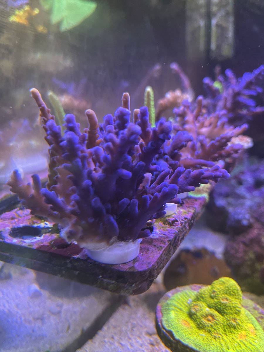 3DCE20F0-644E-48FE-AB7A-7954624F0EC1.jpeg