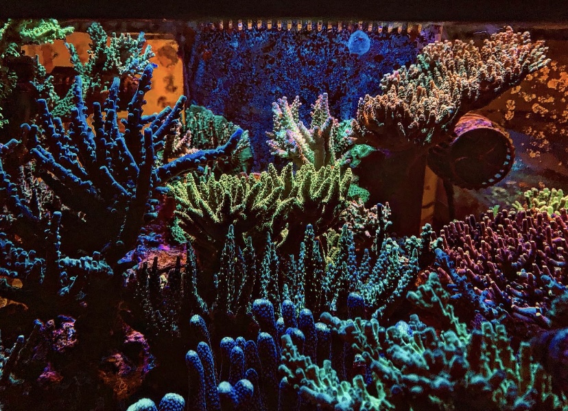 3DCFFECB-6A09-4430-9F3E-5B02A187F26B.jpeg