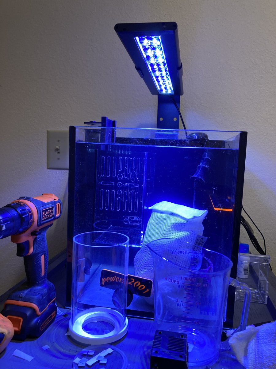 Build Thread - Red Sea REEFER 250 ALL Pre-Conditioned and most CAPTIVE ...