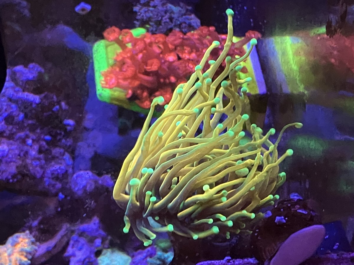 3E990007-44DD-4E5B-9CB6-8F6C0F41F64B.jpeg