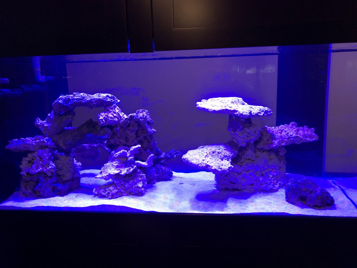Is it safe to put rocks like these in the tank without the risk of breaking  the bottom? : r/Aquariums