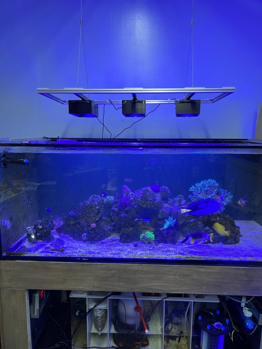 3lights.jpg