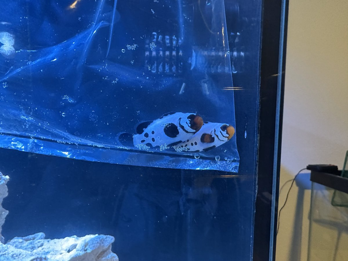 4 - First Fish.jpeg