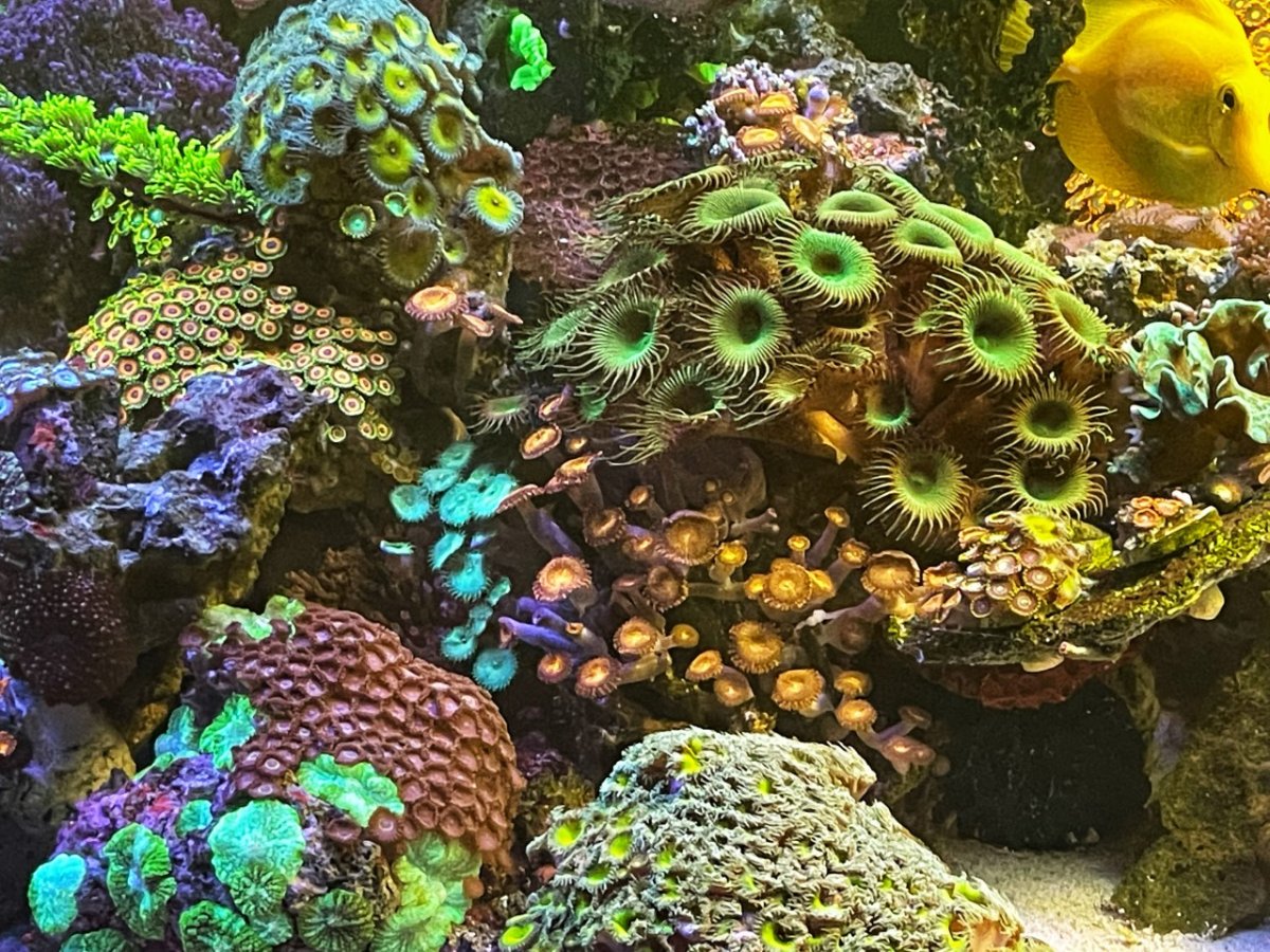 400g102.jpg