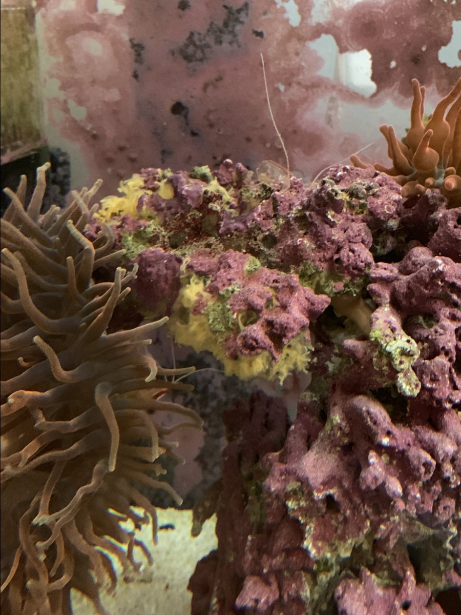 402906BC-E536-4FFD-BD22-82D5D844D0A8.jpeg