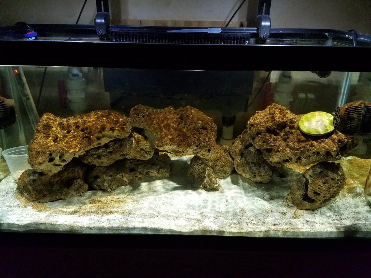 40b build.jpg