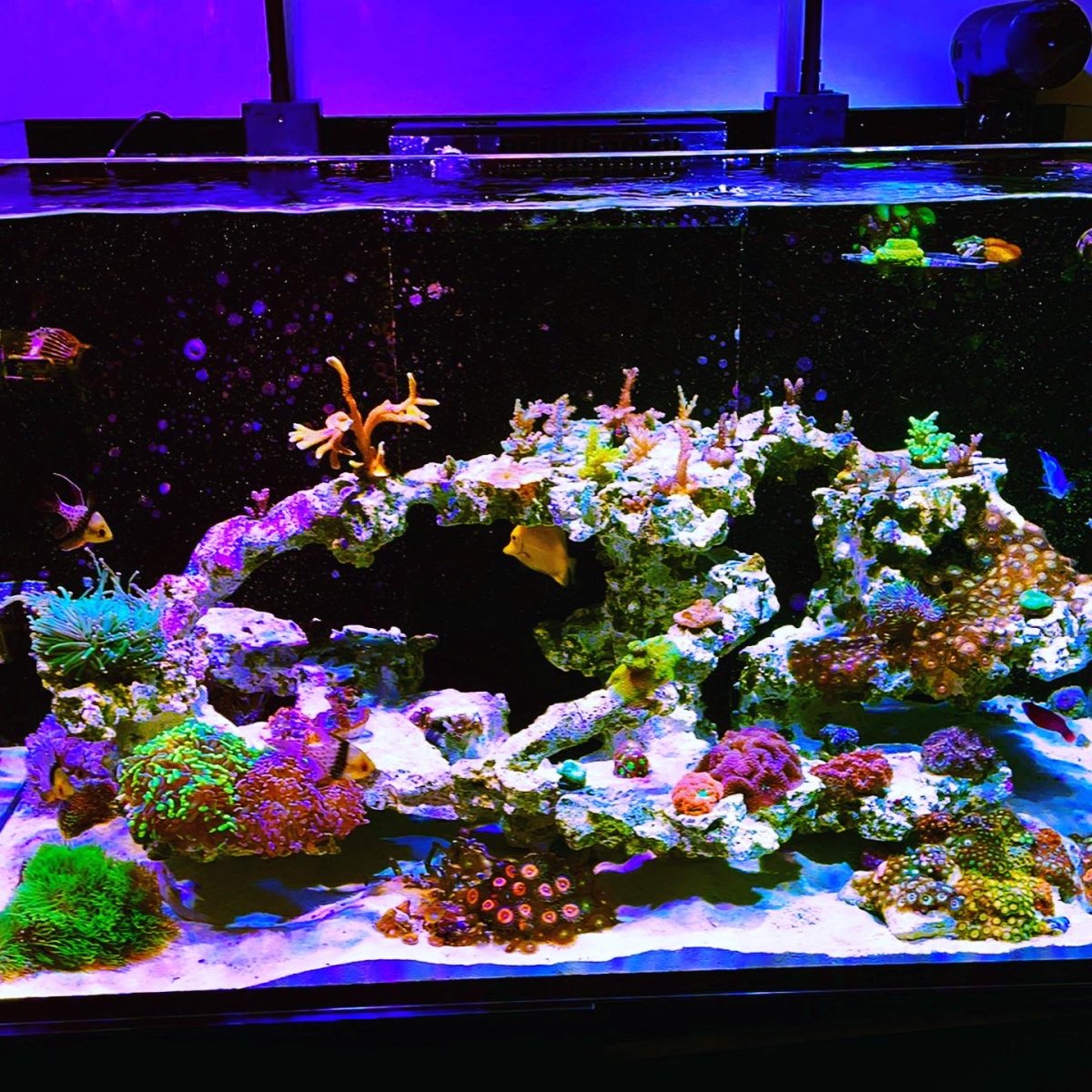 40C9A433-6650-4DE9-9F26-23C1BC5A8A3D.jpeg