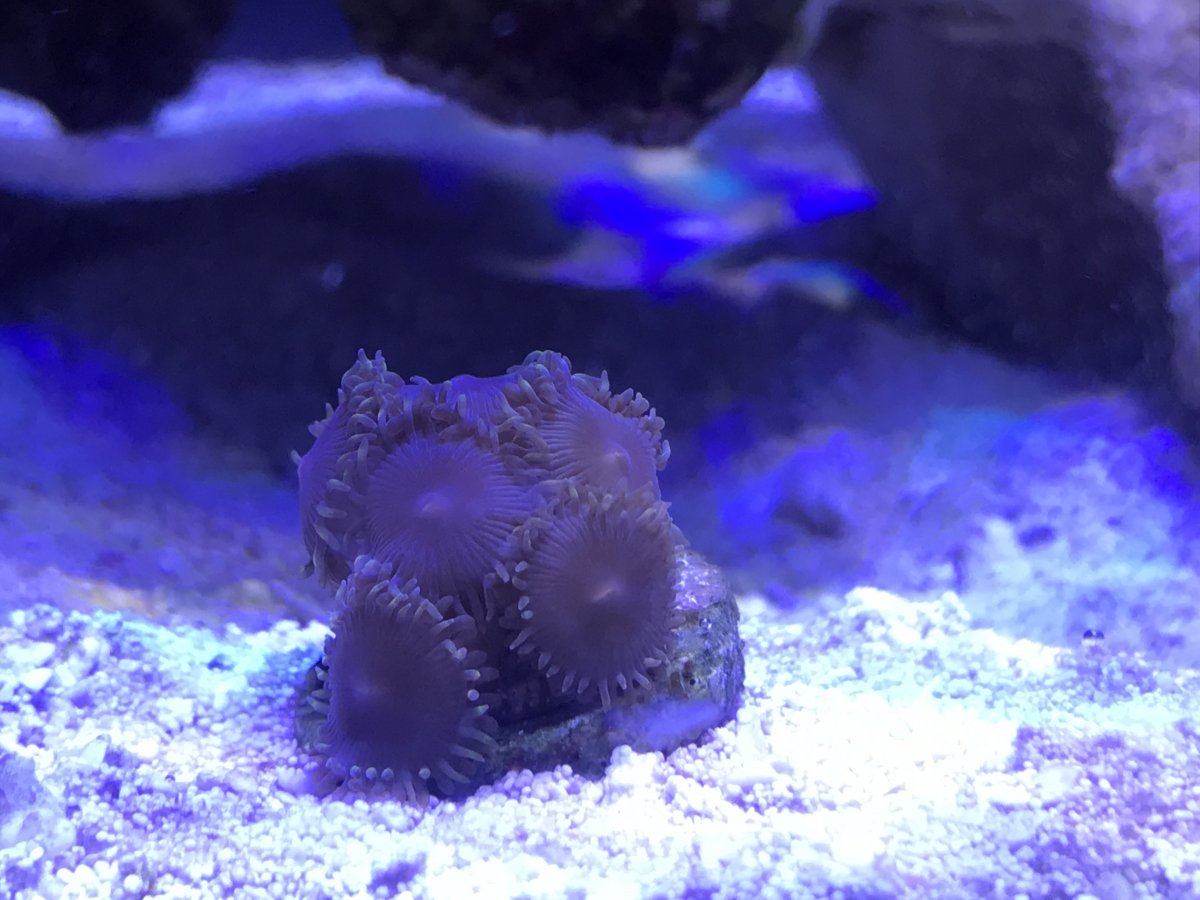 40D7E5CC-BDBC-4B06-8093-12FD736A10A9.jpeg