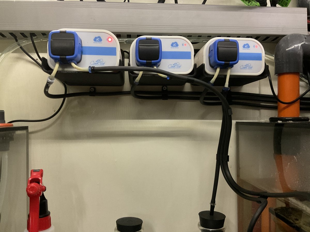 40E4D90E-325B-41E1-A336-0F609750CF17.jpeg
