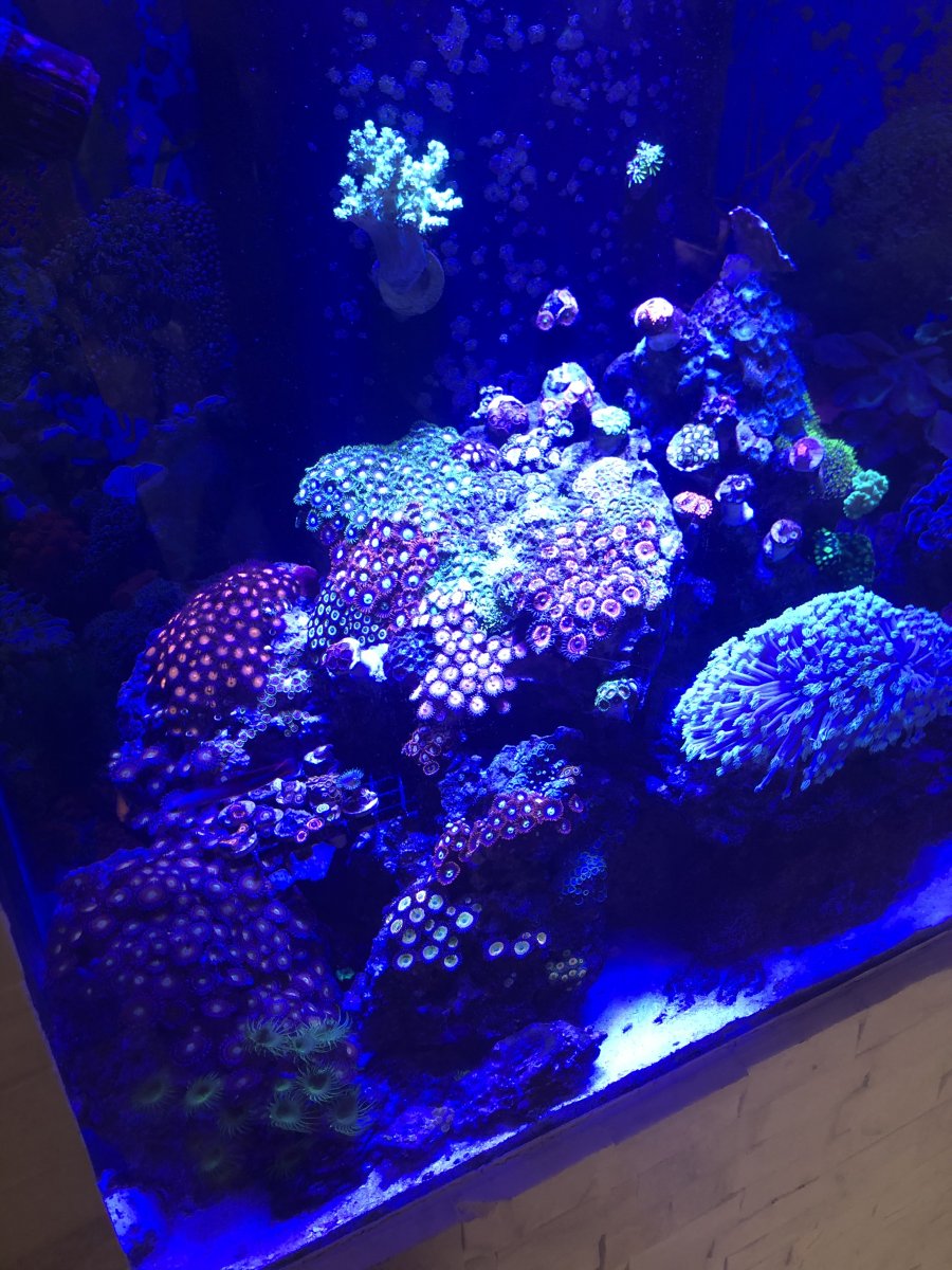 412D0FD3-5534-412E-8ED2-80DC5D7FFD0B.jpeg