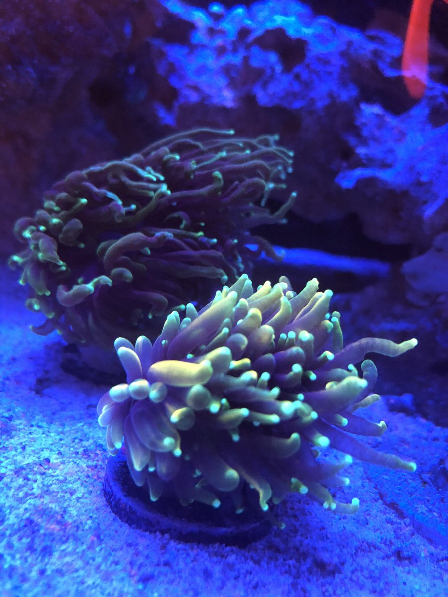 41D89648-3CF5-442C-B154-DC4C622BC448.jpeg