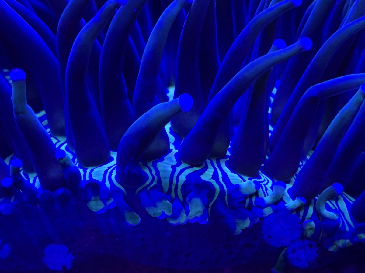 4201D376-60D2-4DDD-AD80-E7EDECB87DC1.jpeg
