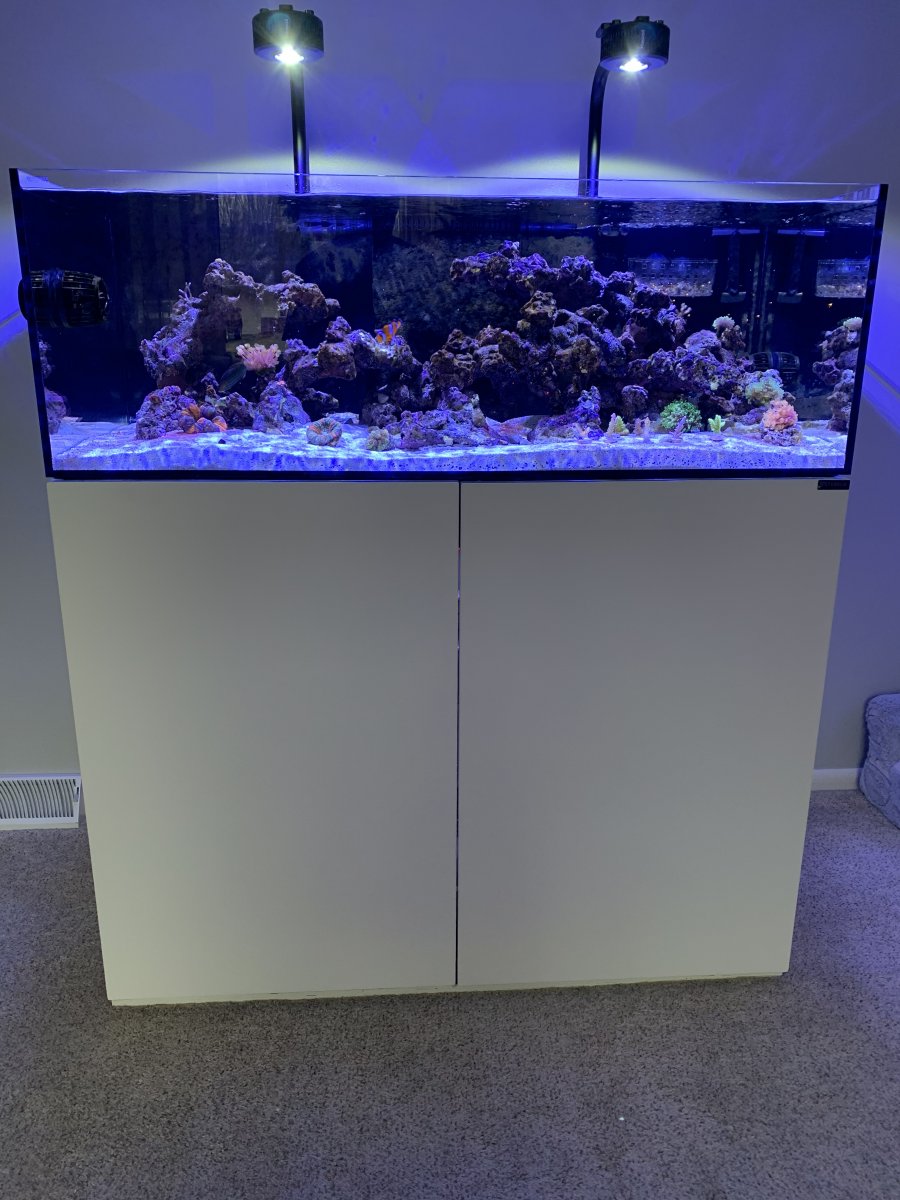 SAKANAQUARIUM 光 ONLINE「NZS-827」 Are tunze waveboxes still relevant? | Reef2Reef