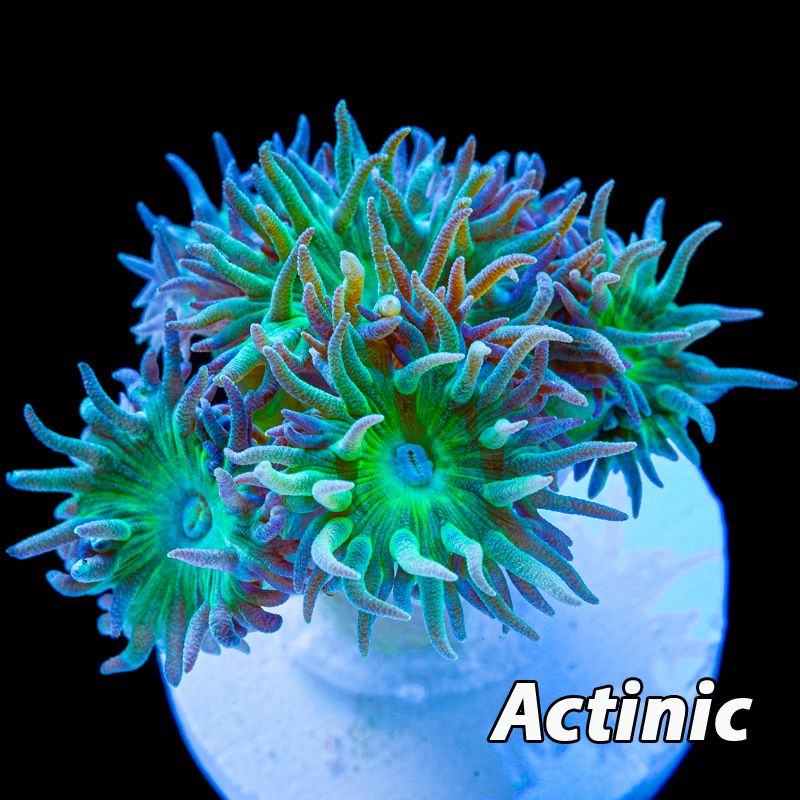 433DCCB5-AECC-4DE9-B39B-9A10C3E66A0D.jpeg