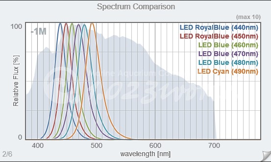 44090.JPG