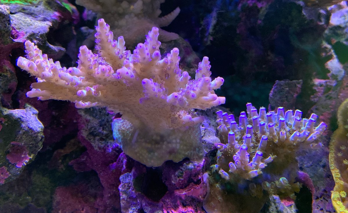 445A7944-FA14-4141-8E71-FFD71BBC3362.jpeg