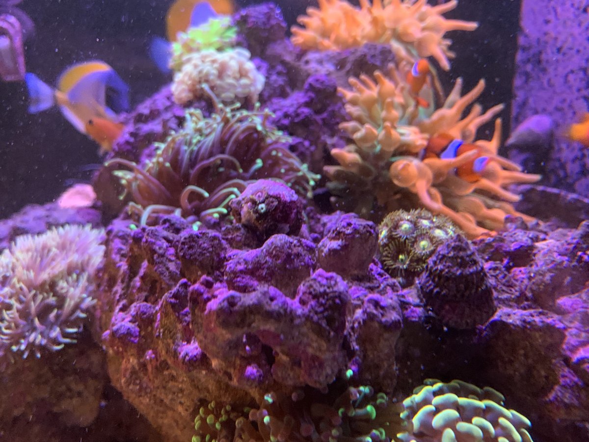 44827E1D-A33F-4D62-8A05-D22D802515B5.jpeg