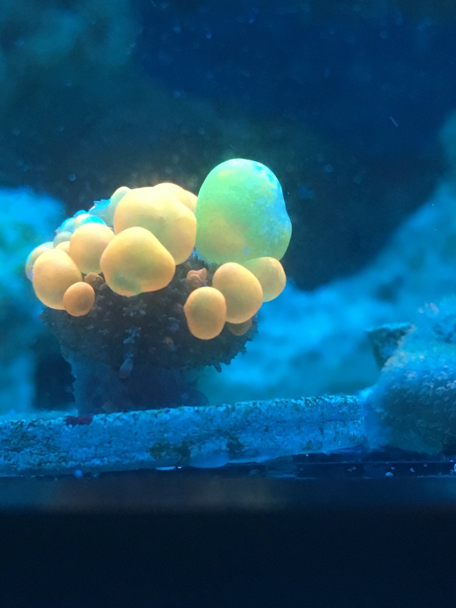 448D06E7-C2D5-423E-AD55-818E4288BE2F.jpeg