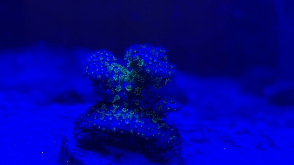 45AD3513-61C8-4362-9EBD-823D257BF52D.jpeg