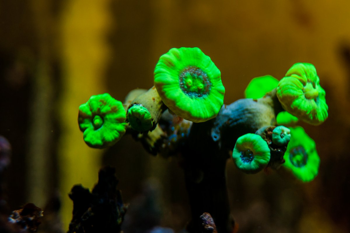 45E32A02-E808-4BC1-A2EA-3F9422A1C77F.jpeg
